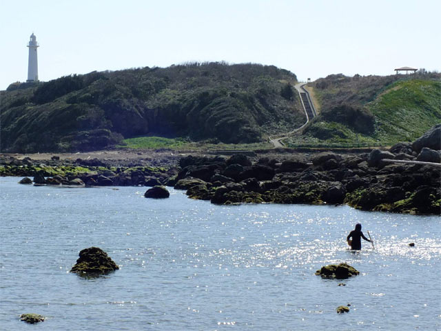 はんば海苔漁の様子