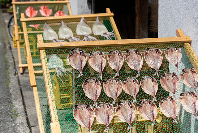 下田の干物