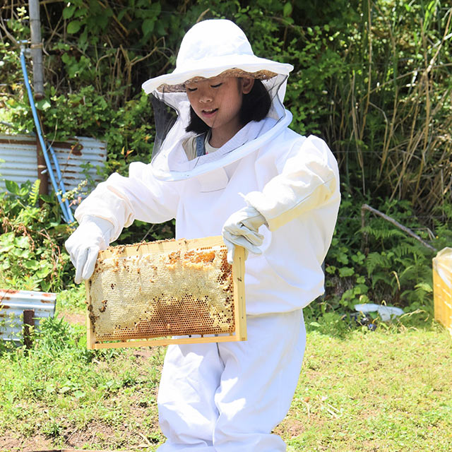 養蜂場で作業を手伝う娘
