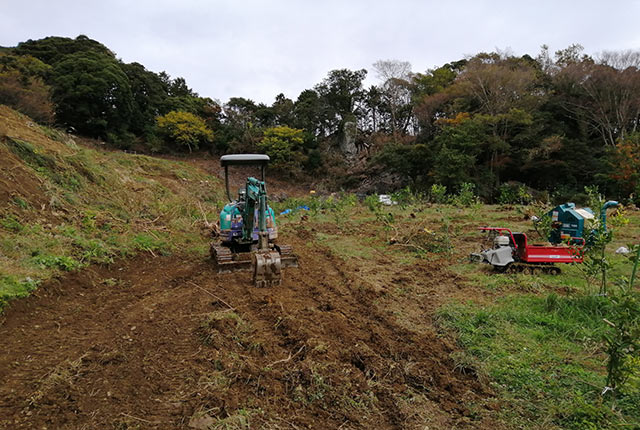 さらにユンボで伐根