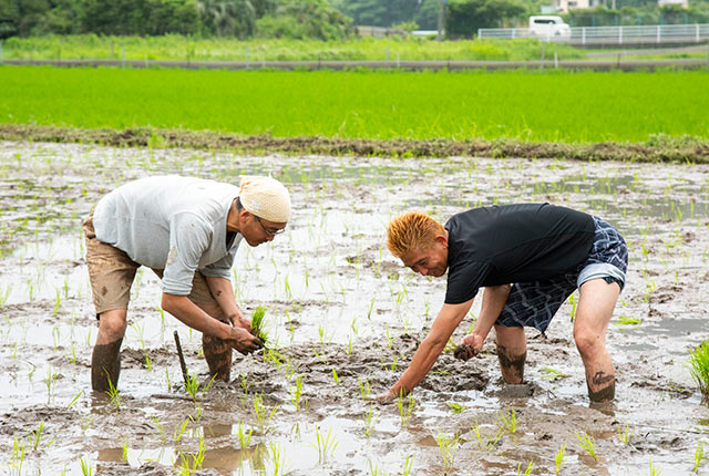 漁師の飯田竜さんと夫も作業中