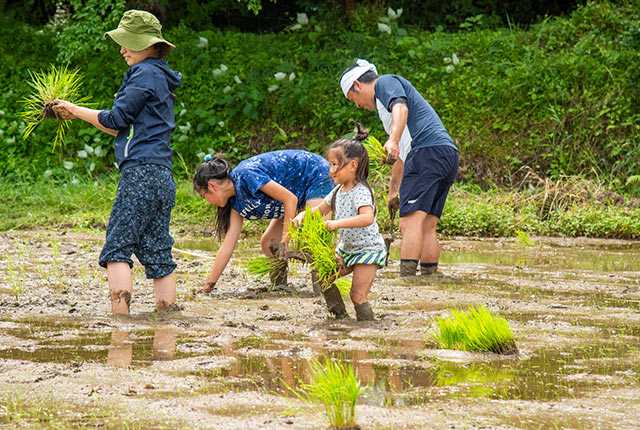 小さな子どももお手伝い