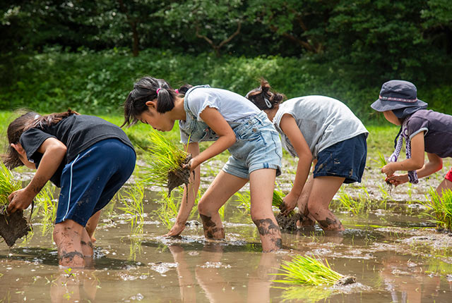 子どもたちもしっかりと植える