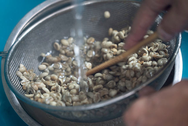 コーヒー豆を洗浄