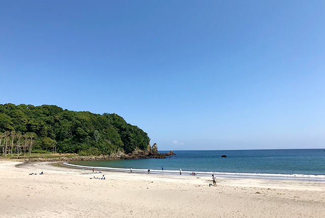 下田の海