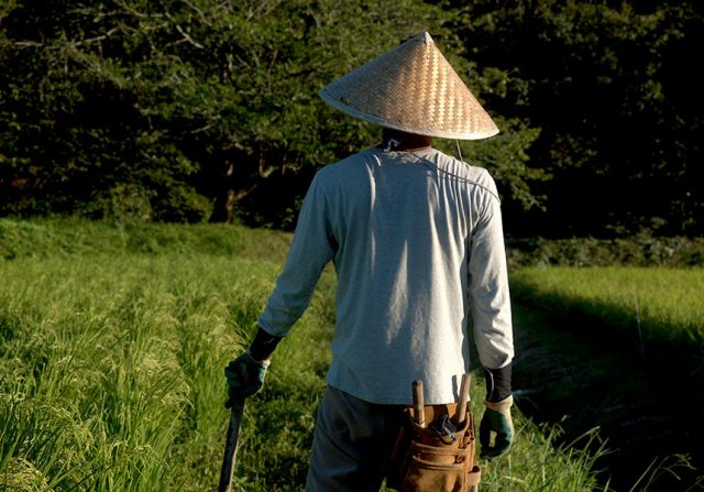 田舎暮らしに必須!? 移住後に役立った4つのスキルと7つのモノ | 「colocal コロカル」ローカルを学ぶ・暮らす・旅する