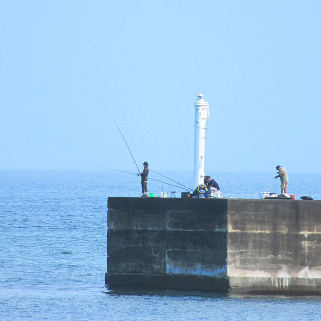海釣りを楽しむ人