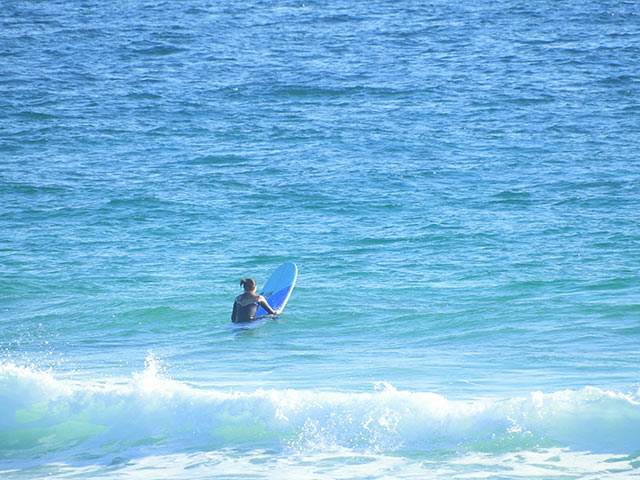 サーフィンを楽しむ人