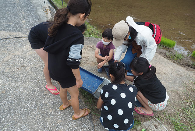 カエルを囲む子どもたち