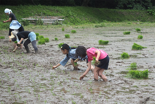 もくもくと植える娘と友達