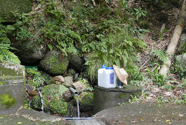 山から流れ出る湧き水