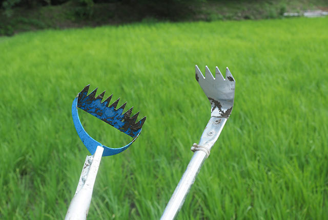 水草とれ太ビッグ