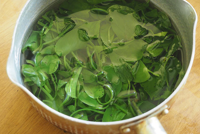 鍋に入れたコナギ
