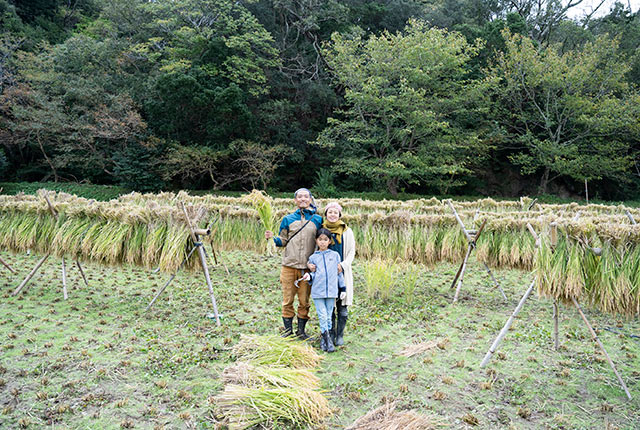 津留崎家の稲刈りの様子