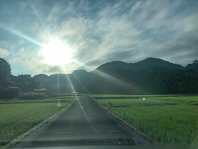 山から差し込む朝日