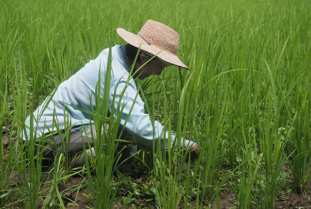 お手伝い中の友人