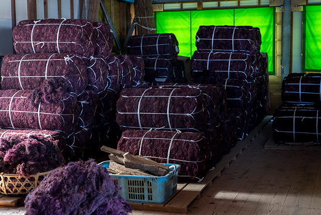 ずらりと並んだポン