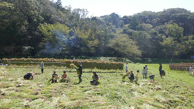 田んぼの奥に立ち上る煙