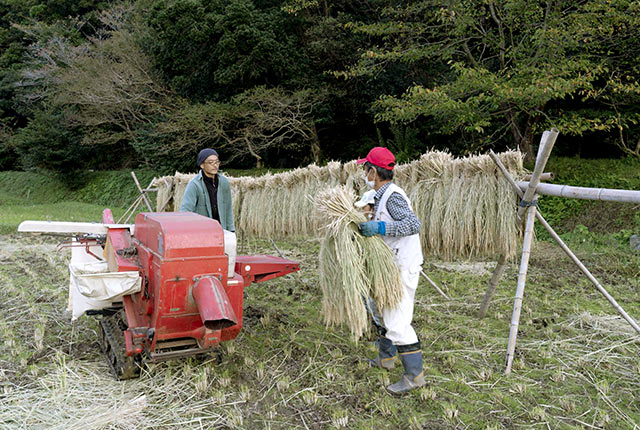 「ハーベスタ」という機械で脱穀