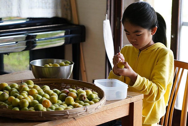 青梅の下準備
