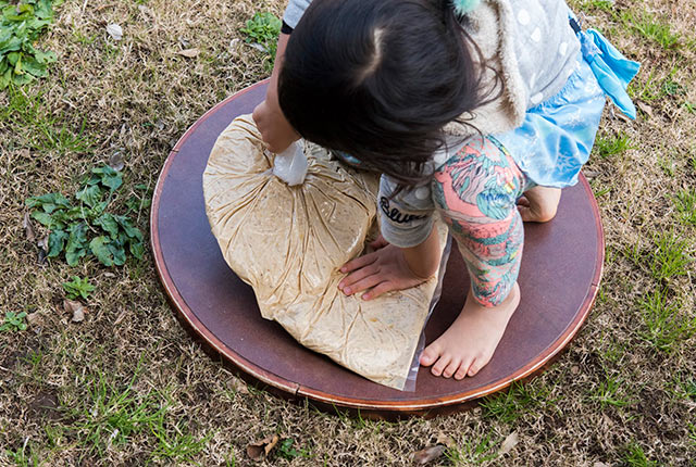 踏まれて平らになった大豆