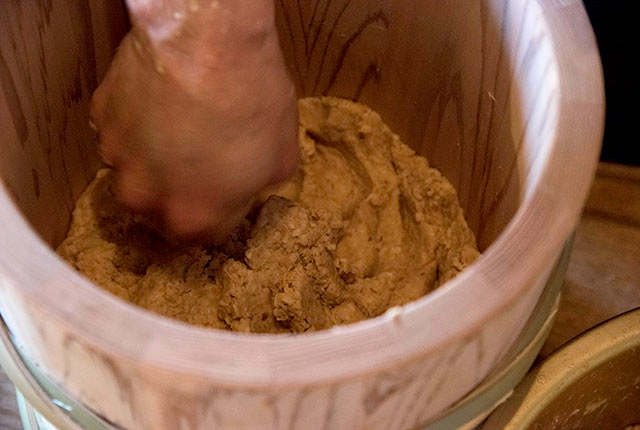 味噌玉を容器につめている