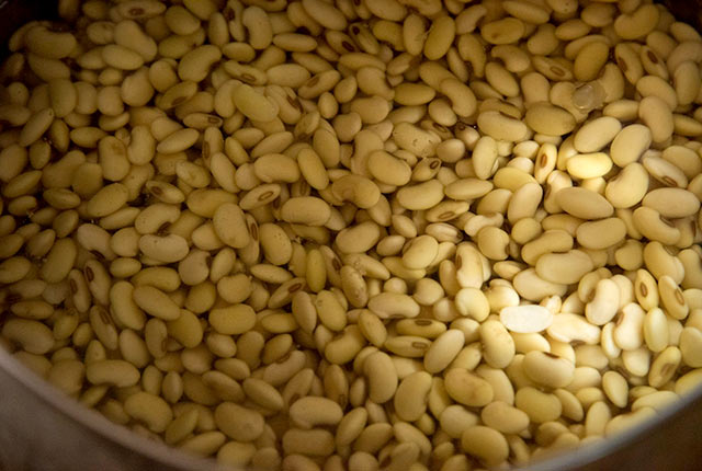 浸水させた大豆