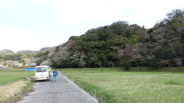 大賀茂の田んぼ