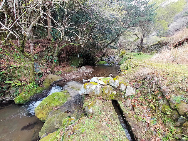 田んぼに流れ込む川の上流