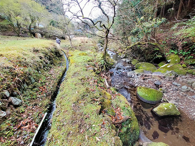 草刈りを行う水路