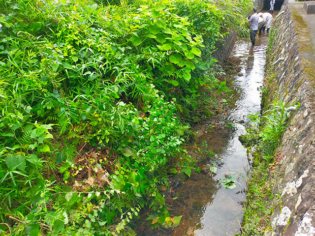 水路掃除の様子