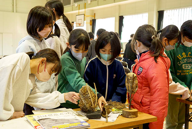 鳥の巣をまじまじと観察する子どもたち　