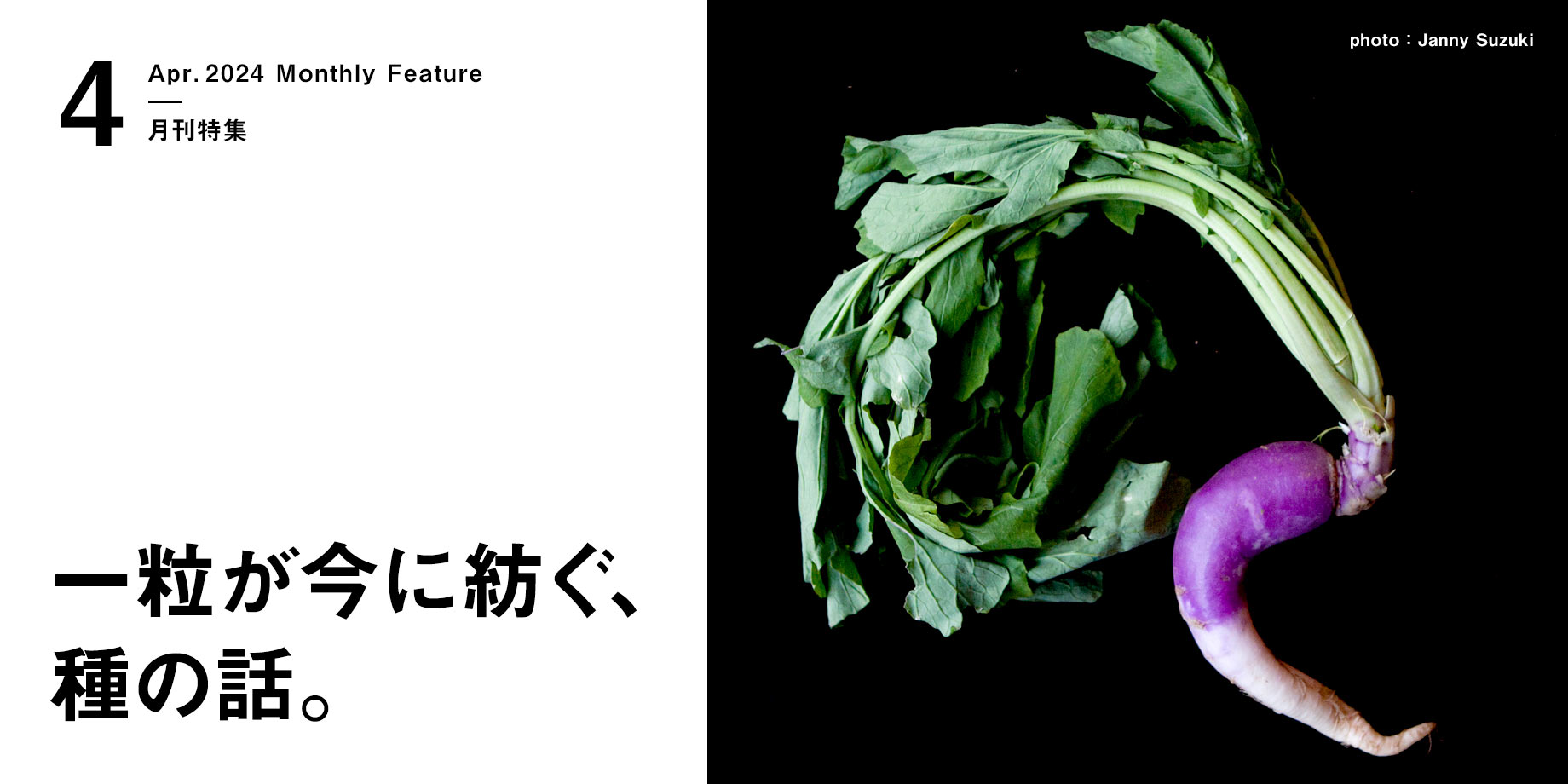 月刊特集・一粒が今に紡ぐ、種の話。