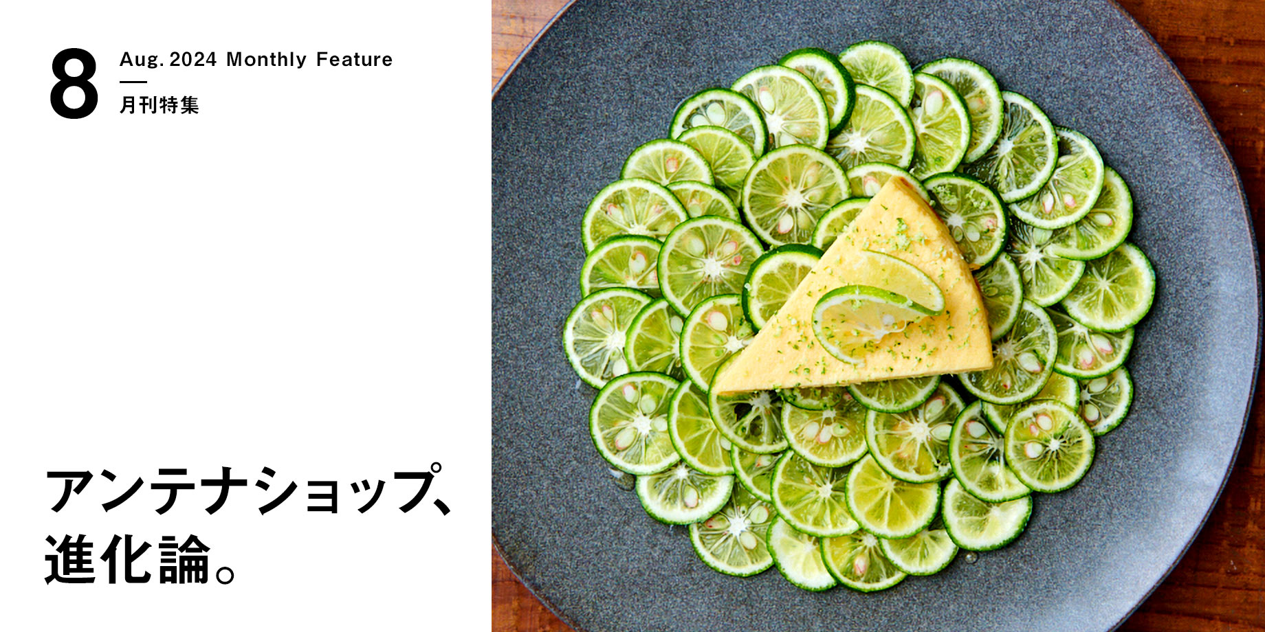 月刊特集・アンテナショップ、進化論。