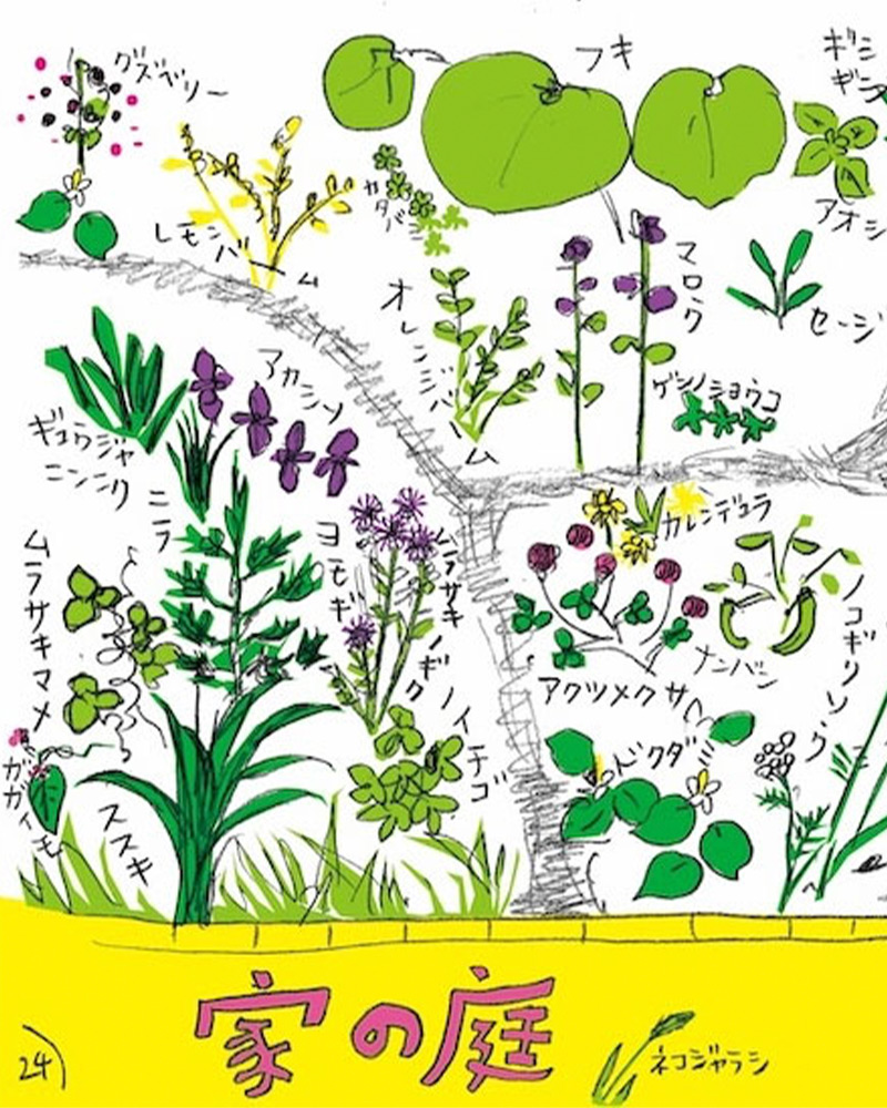 手入れをほとんどしないのに 多様な草花が芽吹いていった ５年間の記録。『家の庭』を刊行