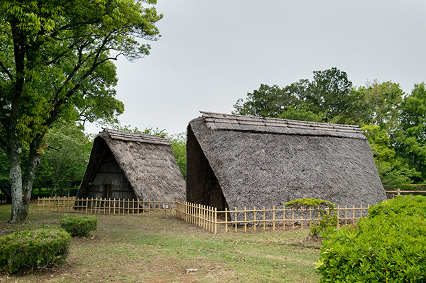 再現された住居。周囲の植生は、縄文時代からそれほど変わっていないという。