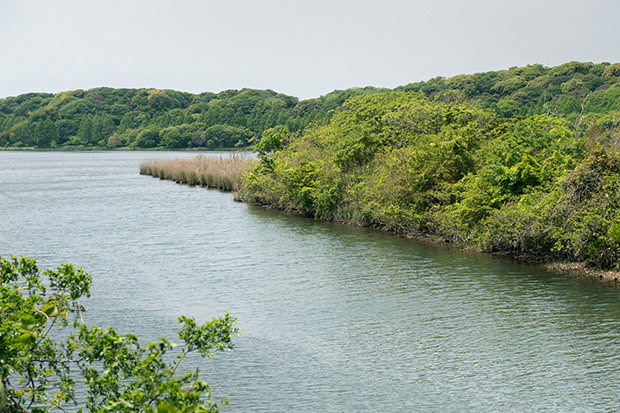 佐鳴湖は、かつて入江であり、汽水湖を経て、現在は淡水湖になった。