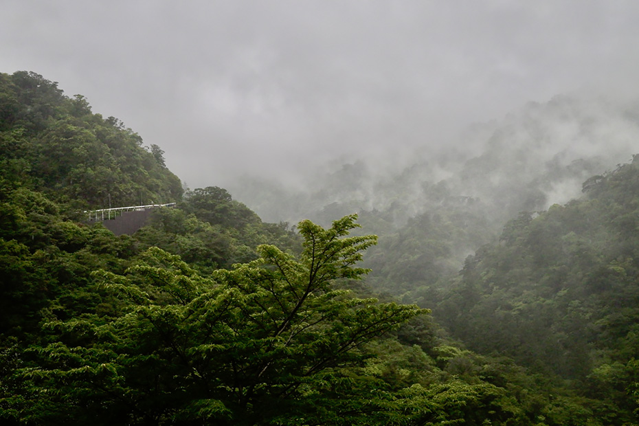 山の中を走る県道。