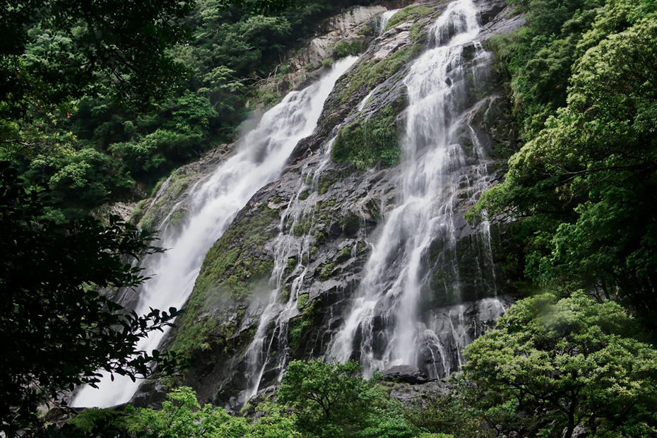 大川の滝。ここの水量で山の中の降雨量の多さが見て取れる。