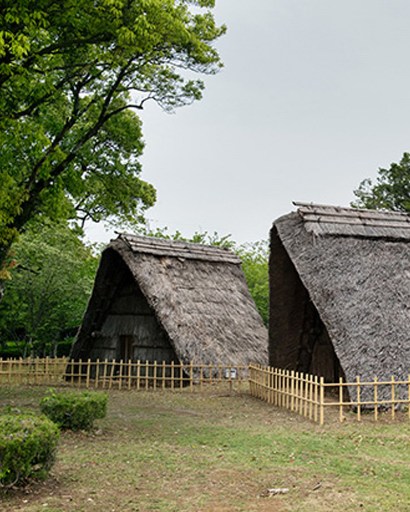 〈界 遠州〉から足を伸ばして。 ナウマンゾウに導かれて、 太古の風景を探す