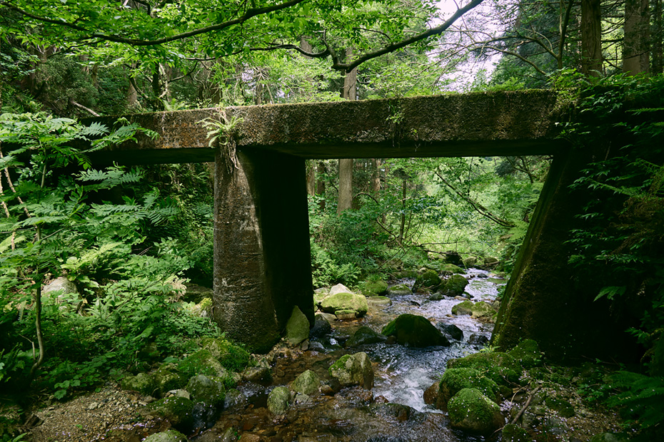 渓流に架けられた橋。苔むして、風景に馴染んでいた。
