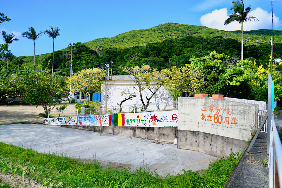 天城町三京集落の分校のすぐ裏には世界自然遺産区域の森がある。
