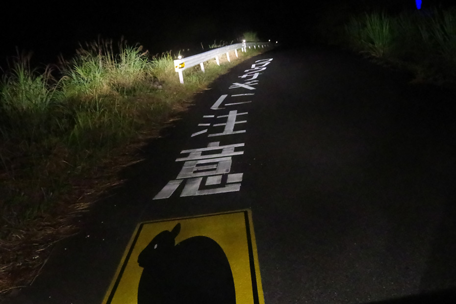島の至る所で見かける看板。ロードキルが問題となっている。