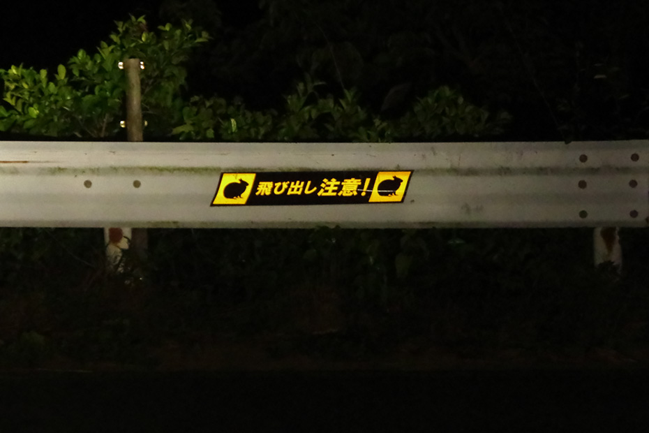 島の至る所で見かける看板。ロードキルが問題となっている。