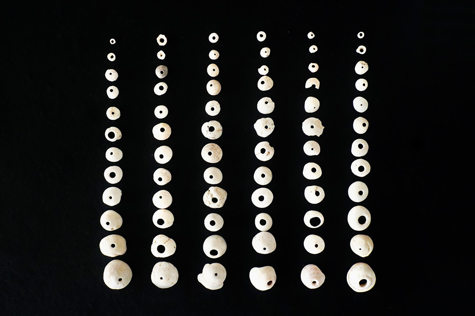 トマチン遺跡の3000~2500年前の貝製品。伊仙町歴史民俗資料館