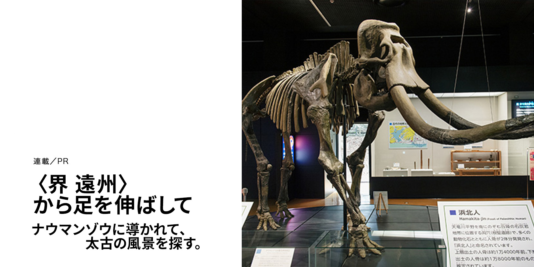 〈界 遠州〉から足を伸ばして。 ナウマンゾウに導かれて、 太古の風景を探す。