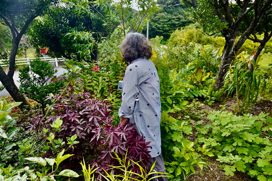 畑で様々な植物を育てている吉子さん。