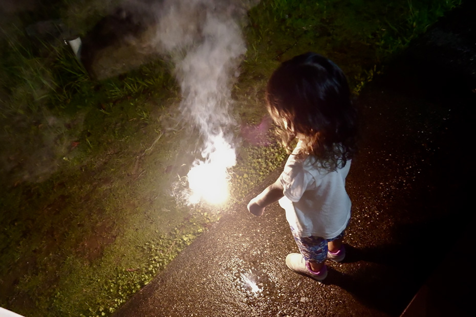 大人が語らう横で子ども達も自由に遊んでいた。