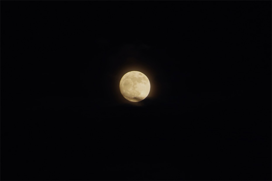 ちょうど満月の夜だった。