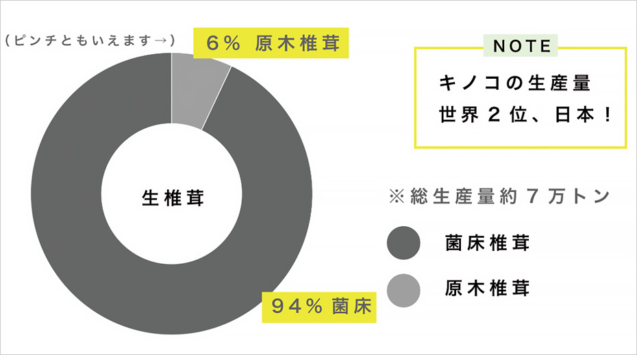 キノコの生産量 世界2位、日本！